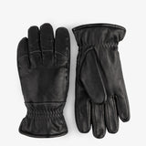 Sportster Gloves - Women