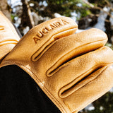 Outwest Softshell Gloves - Men