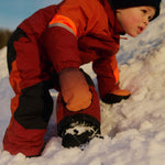 Slide image